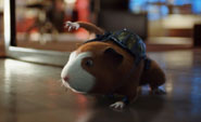 Agent Darwin