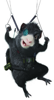 Agent Blaster of G-Force