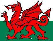 The Red Dragon or Y Ddraig Goch.