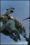 Check out these preview pictures from the Golden Compass video game from Sega!