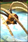Check out these preview pictures from the Spider-Man: Friend or Foe video game from Activision!