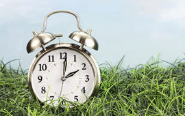 Daylight savings time poll