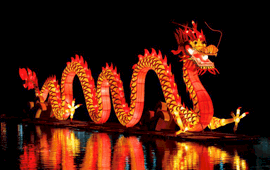 Chinese new year poll