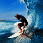 Surfing poll