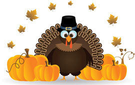 Thanksgiving turkey poll