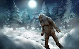 Yeti poll