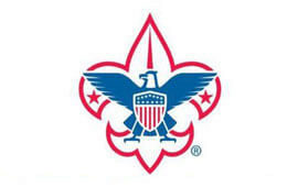 Boy scouts of america poll