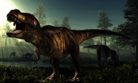 Tyrannosaurus rex poll