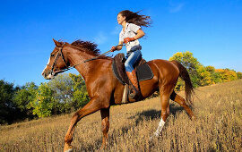 Horseback riding poll