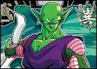 Piccolo 140x100