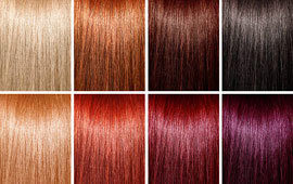 Hair colors poll
