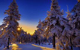 Holiday weather poll