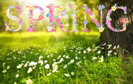 Signs of spring poll