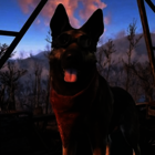 Dogs in games poll