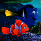 Finding dory poll