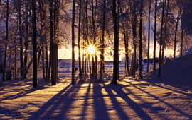 Winter solstice poll