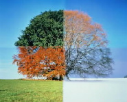 Favorite Season- pendletonpanther.wordpress.com