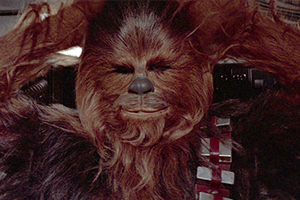 chewbacca