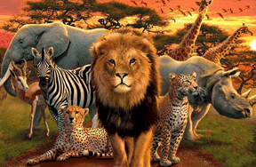 Name That Animal Quiz!