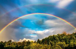 Quiz! Know How It Works?